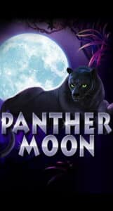 Panther moon